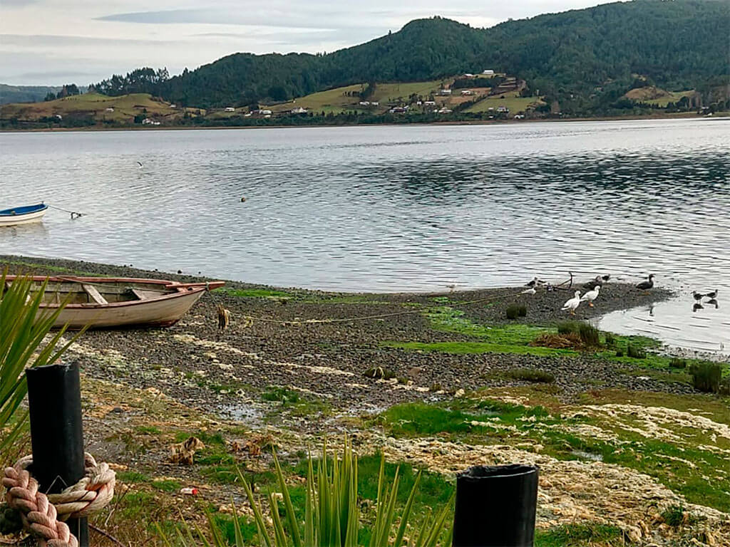 proy_Quellón_1